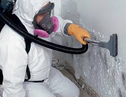 Why You Should Choose Our Mold Remediation Services in Maria Stein, OH